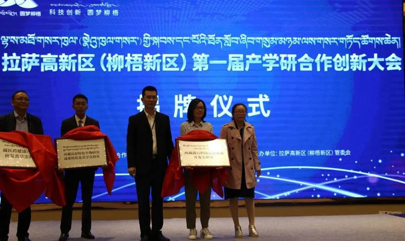 1650619142984100.jpg 16007568821833.jpg