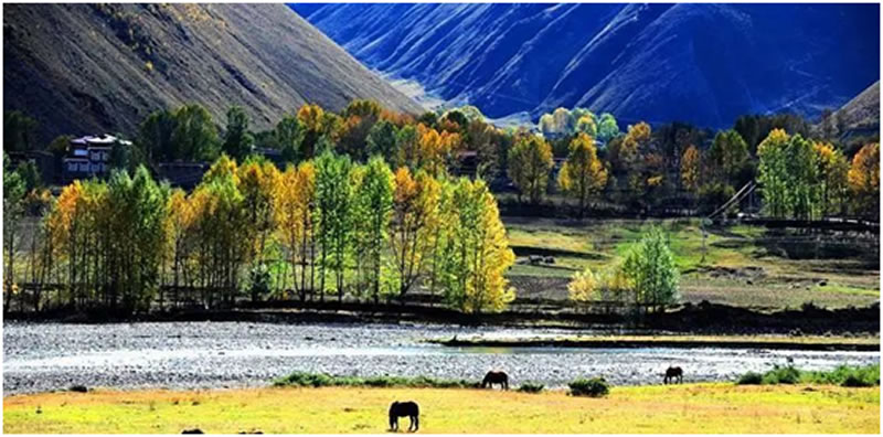 1650620765437744.jpg 16030981287263.jpg